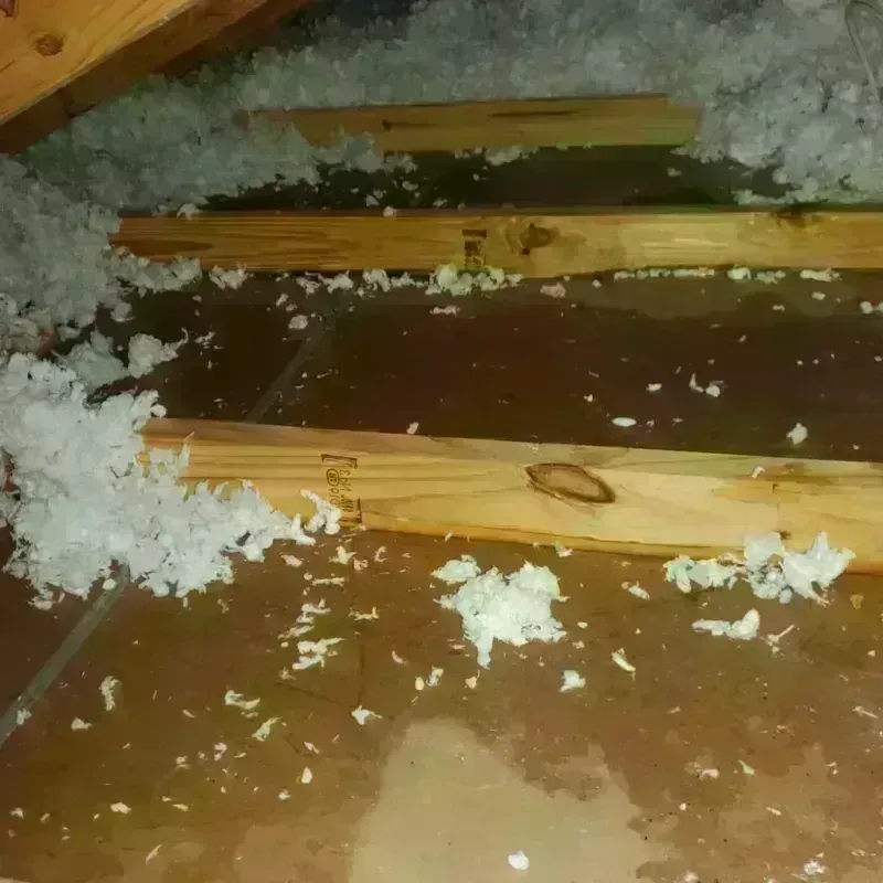 Attic Water Damage in Little Elm, TX